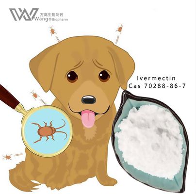 Ivermectin Mk933 99% Antiparasitic Agent CAS 70288-86-7 USP BP