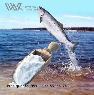 Vermifuge Praziquantel Powder CAS 55268-74-1 ISO 9001 USP 39 Grade with GMP certificate