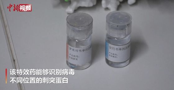Amubarvimab / Romlusevimab (BRII-196/BRII-198) Monoclonal Antibody