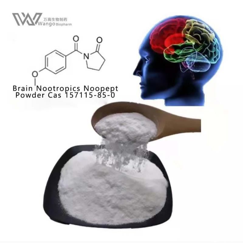GVS-111 Noopept Oxiracetam White Powder 157115-85-0 Cognitive Enhancing Supplement