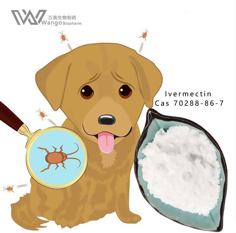 Ivermectin Mk933 99% Antiparasitic Agent CAS 70288-86-7 USP BP