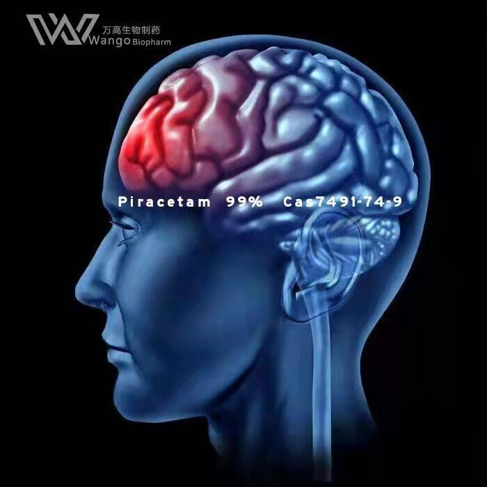 Piracetam Nootropics Bulk Powders Cognitive Enhancer CAS 7491-74-9