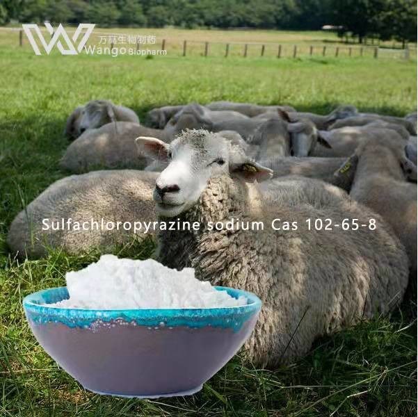 Anti Coccidiosis Veterinary API Sulfachloropyrazine Sodium