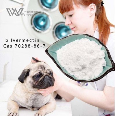USP36 Pure Ivermectin Powder , Mk933 Anti Parasitic Agents For Pets And Vets