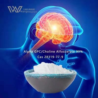 50% 80% Alpha GPC Choline , Choline Alfoscerate Powder 28319-77-9